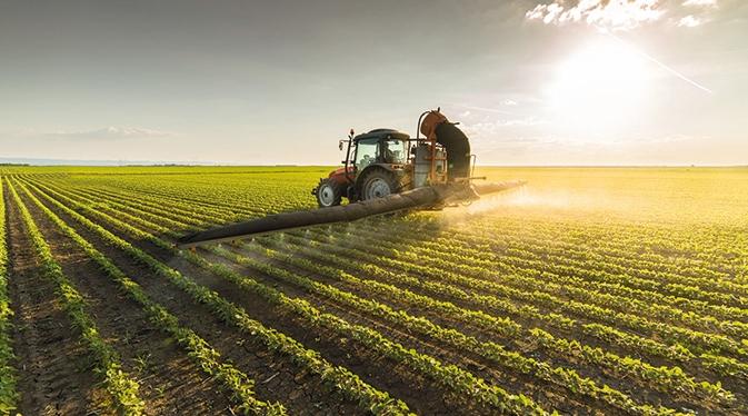 FAO : Les systèmes agroalimentaires mondiaux "sérieusement menacés"